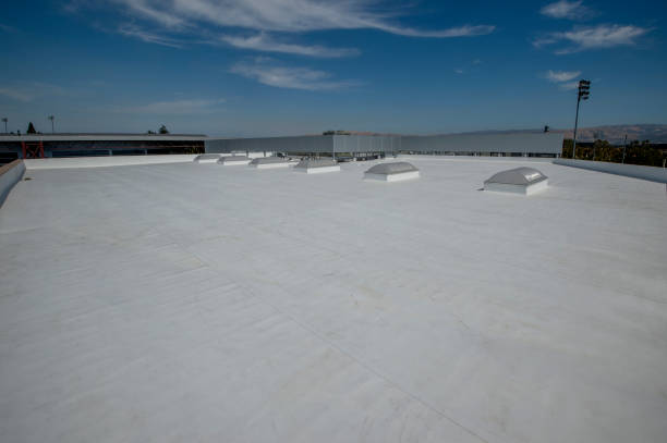 Best Sheet Metal Roofing  in Murphysboro, IL