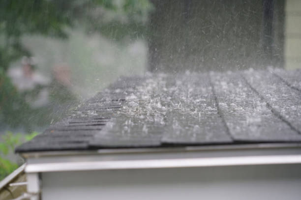 Best Hot Roofs  in Murphysboro, IL