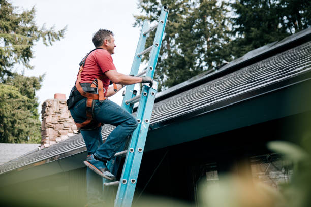 Best Rubber Roofing (EPDM, TPO)  in Murphysboro, IL