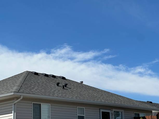 Best Chimney Flashing Repair  in Murphysboro, IL
